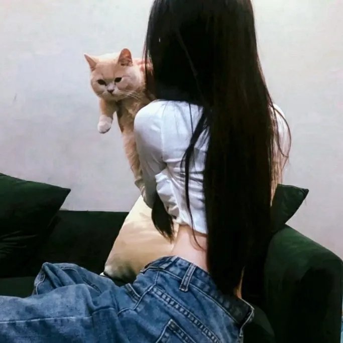赤狐书生